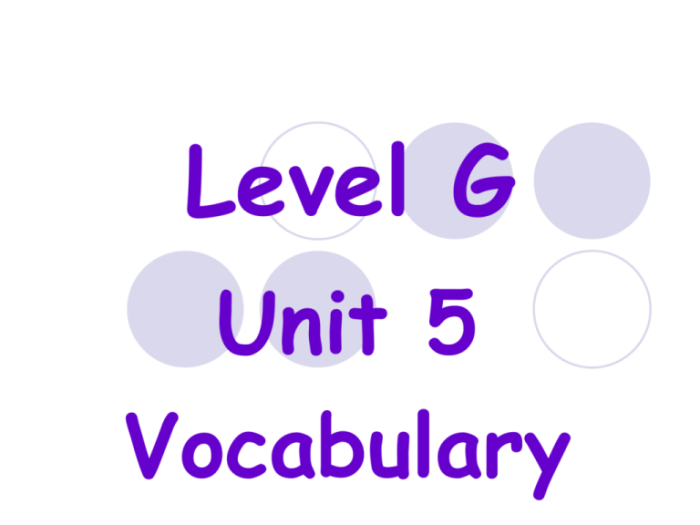 Vocabulary level g unit 5