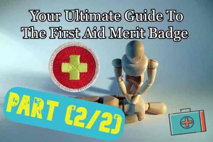 First aid merit badge answers