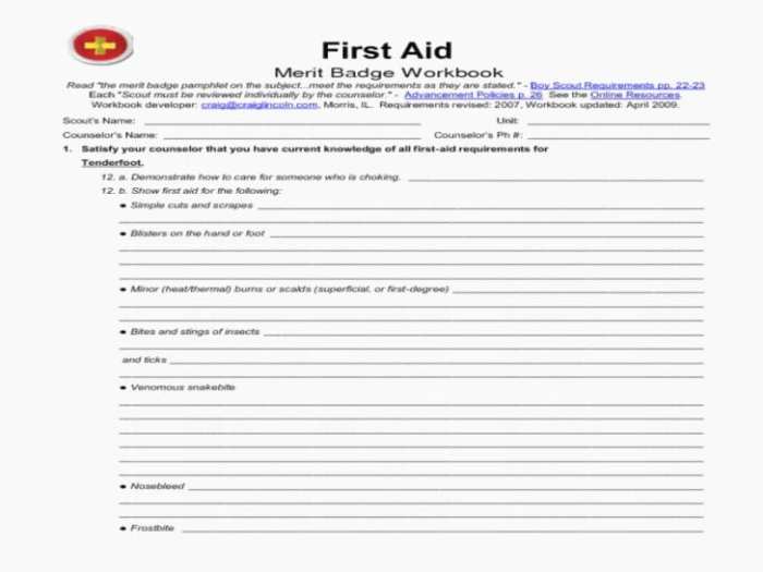 Aid first badge merit guide