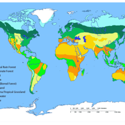 Biomes of the world worksheet answers