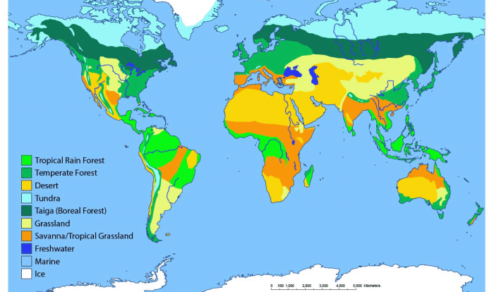 Biomes of the world worksheet answers