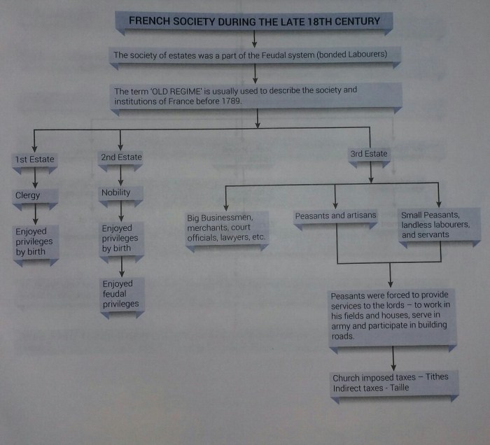 Chapter 17 section 1 the history of classification answer key