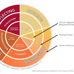 The nclex experience rn 3.0 clinical judgment practice 1