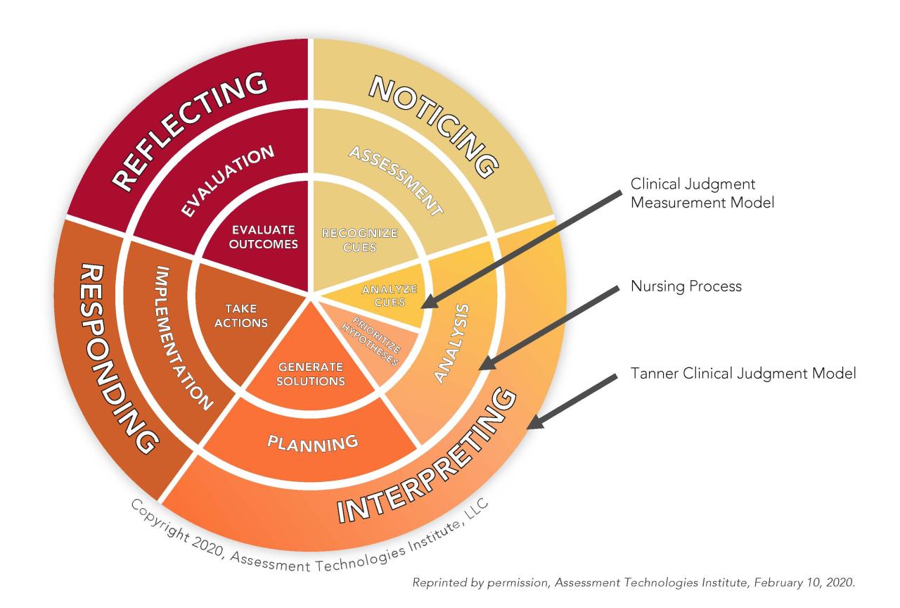 The nclex experience rn 3.0 clinical judgment practice 1