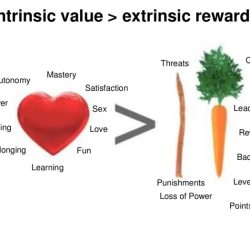 Intrinsic rewards are psychic and self granted